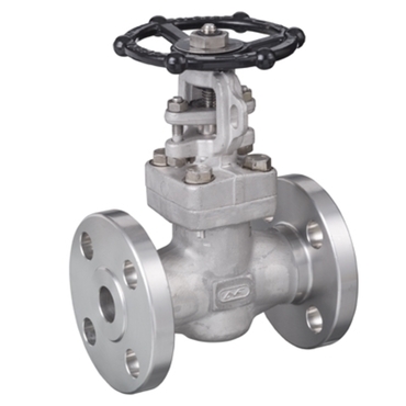 Gate valve Type: 5030 Stainless steel Flange Class 300